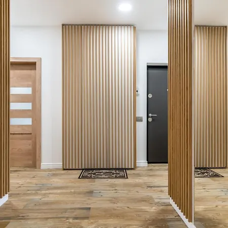Arena View Penthouse Клуж-Напока